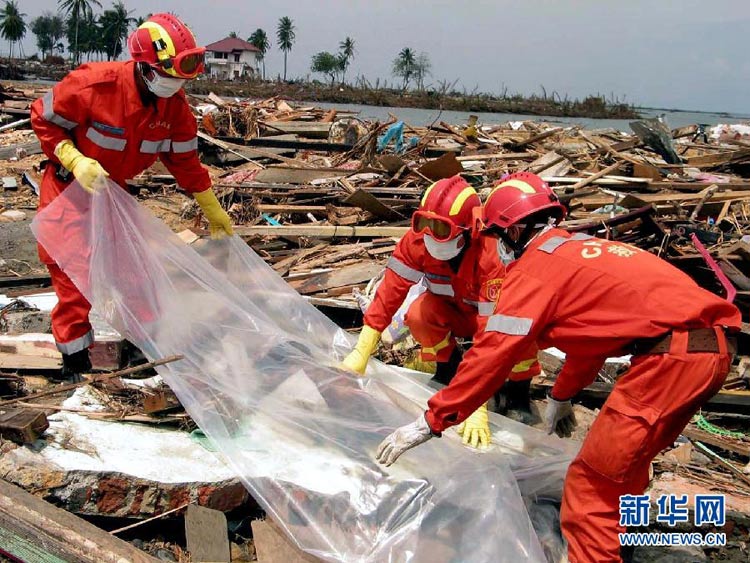 這是2005年1月3日,中國國際救援隊在印度洋海嘯重災區印度尼西亞班達亞齊沿海地區開展災后遺體清理工作。中國國際救援隊于2004年12月30日趕赴印度尼西亞,并從2005年1月1日起在班達亞齊為當地災民開展救助工作。近5年來,中國對外提供了近200次人道主義救災援助。
黨的十六大以來的10年,中國再一次向世界表明,中國的發展是和平的發展,中國對經濟全球化條件下自身發展的認識更加豐富,中國積極維護世界和平,中國日益成為解決國際地區熱點問題的建設性參與者,成為拉動世界經濟增長的重要貢獻者。繼往開來的10年顯示了中國堅定走和平發展道路取得的輝煌成就。
“面向未來,中國將堅定不移做和平發展的實踐者、共同發展的推動者、多邊貿易體制的維護者、全球經濟治理的參與者。”中國向世界表明,一個改革開放的中國,一個繁榮發展的中國,一個和諧穩定的中國,必將為世界做出新的更大貢獻。新華社發(翟偉攝)