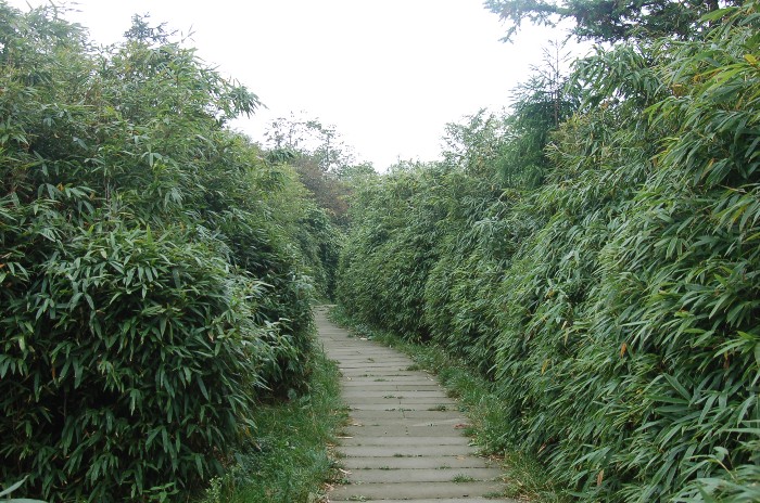 華鎣山幽幽翠廊