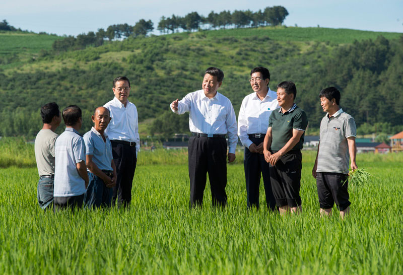 這是7月16日，習(xí)近平在延邊州和龍市東城鎮(zhèn)光東村稻田同村民和農(nóng)技人員交流。新華社記者 謝環(huán)馳 攝