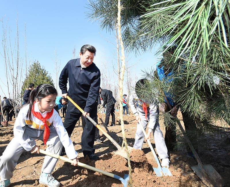 這是習近平同大家一起植樹。新華社記者 張鐸 攝