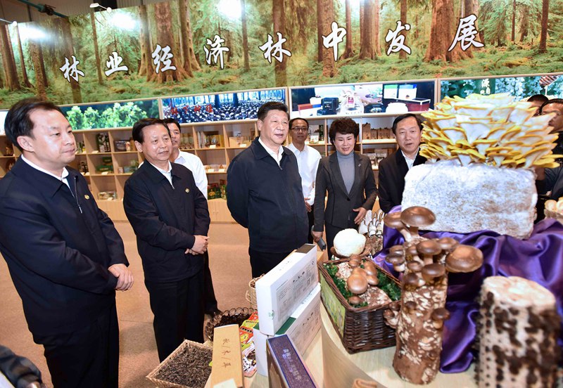 5月23日至25日，中共中央總書記、國家主席、中央軍委主席習近平在黑龍江考察調研。這是5月23日上午，習近平在伊春市生態經濟開發區規劃展示廳觀看生態產品展示，了解林區全面停伐后產業接續發展情況。 新華社記者 李濤 攝