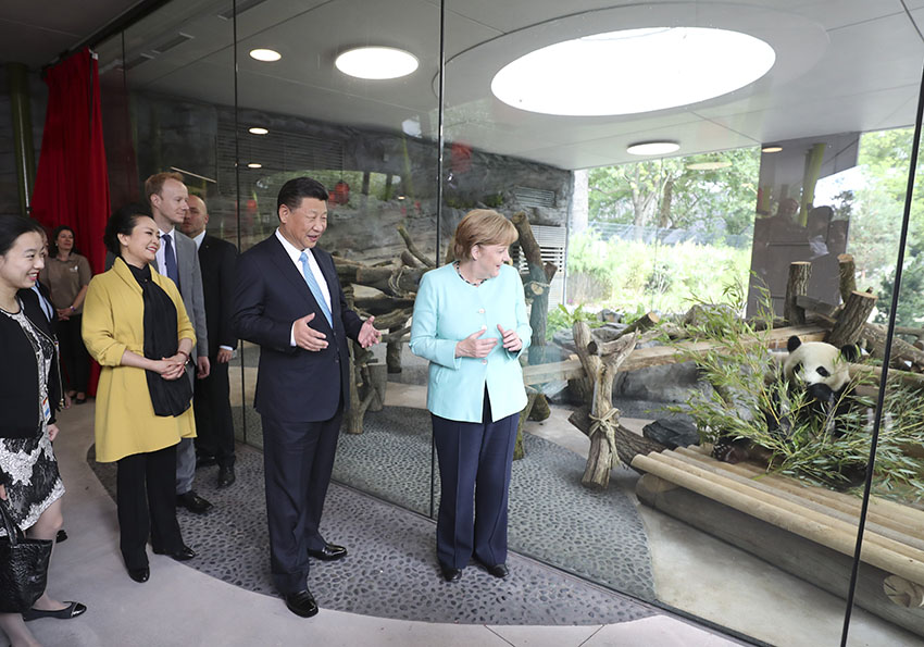 7月5日，國家主席習(xí)近平同德國總理默克爾共同出席柏林動物園大熊貓館開館儀式。這是習(xí)近平和夫人彭麗媛同默克爾在大熊貓館。 新華社記者馬佔成 攝