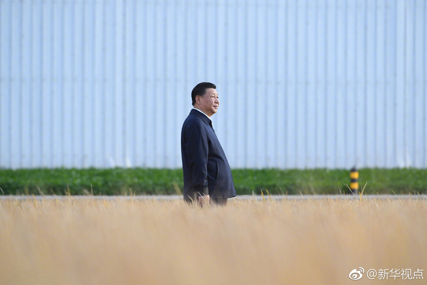 2018年9月25日，中共中央總書記、國家主席、中央軍委主席習近平抵達黑龍江省開始考察。這是習近平在黑龍江農墾建三江管理局了解糧食生產和收獲情況。 新華社記者 燕雁 攝
