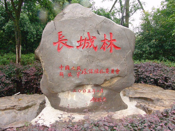 L(zhng)