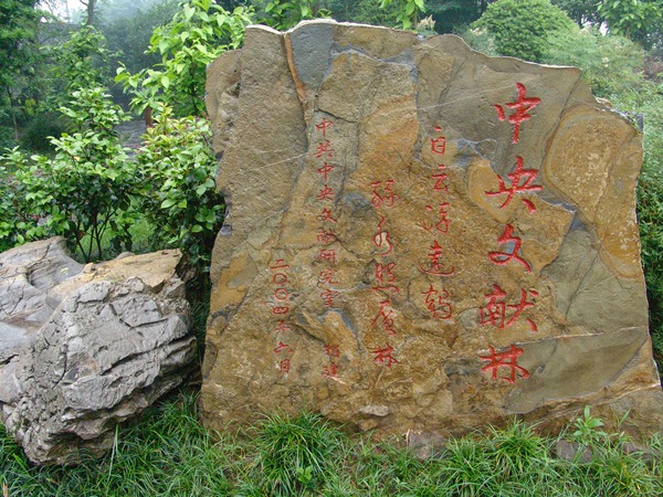 īI(xin)
