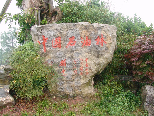 Їʯ