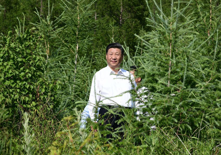 7月15日，中共中央總書記、國(guó)家主席、中央軍委主席習(xí)近平赴內(nèi)蒙古自治區(qū)考察調(diào)研。這是習(xí)近平在赤峰市喀喇沁旗馬鞍山林場(chǎng)了解生態(tài)文明建設(shè)情況。 新華社記者 謝環(huán)馳 攝