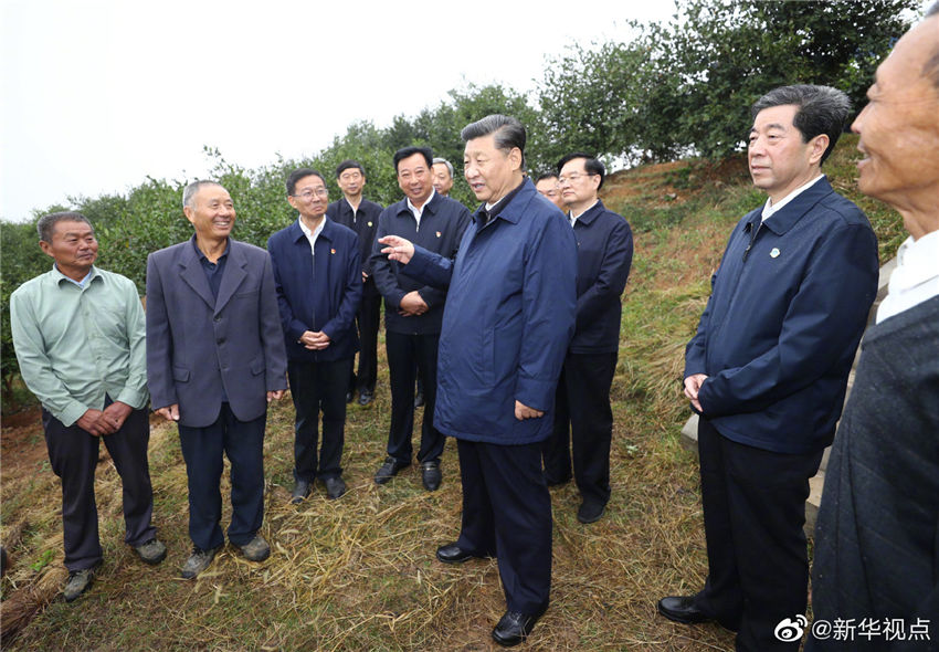 9月17日，中共中央總書(shū)記、國(guó)家主席、中央軍委主席習(xí)近平前往河南省光山縣司馬光油茶園和文殊鄉(xiāng)東岳村，考察調(diào)研當(dāng)?shù)孛撠毠?jiān)工作成效和中辦在光山縣扶貧工作情況，看望慰問(wèn)老區(qū)群眾。這是習(xí)近平在司馬光油茶園同農(nóng)民親切交流。 新華社記者 鞠鵬 攝