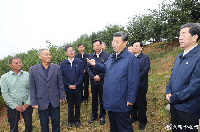 9月17日上午，正在河南考察調研的中共中央總書記、國家主席、中央軍委主席習近平來到光山縣司馬光油茶園，察看當地產業脫貧工作成效。 新華社記者 鞠鵬 攝