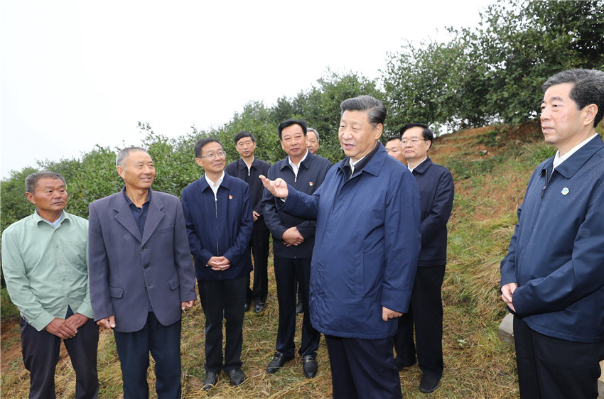 9月17日上午，正在河南考察調(diào)研的中共中央總書記、國家主席、中央軍委主席習(xí)近平來到光山縣司馬光油茶園，察看當(dāng)?shù)禺a(chǎn)業(yè)脫貧工作成效。 新華社記者 鞠鵬 攝
