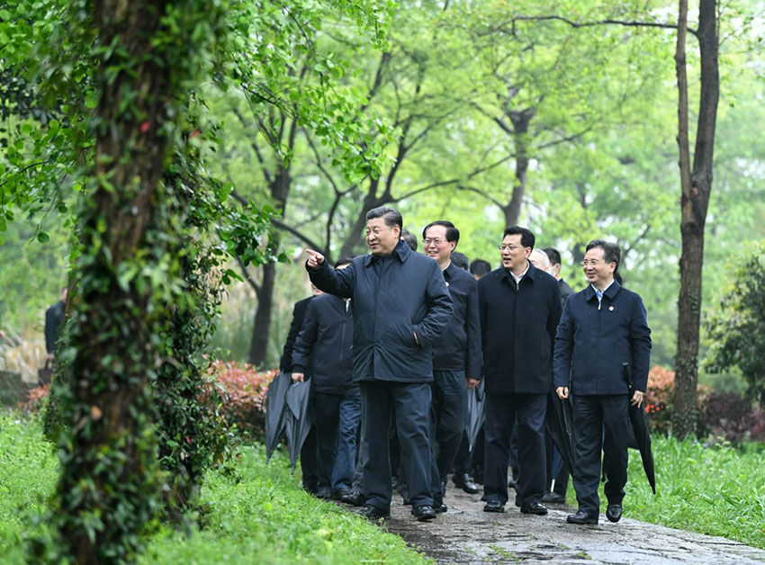 3月31日，中共中央總書記、國家主席、中央軍委主席習近平在杭州考察。這是習近平在西溪國家濕地公園就西溪濕地保護利用情況進行考察調研。 新華社記者 燕雁 攝