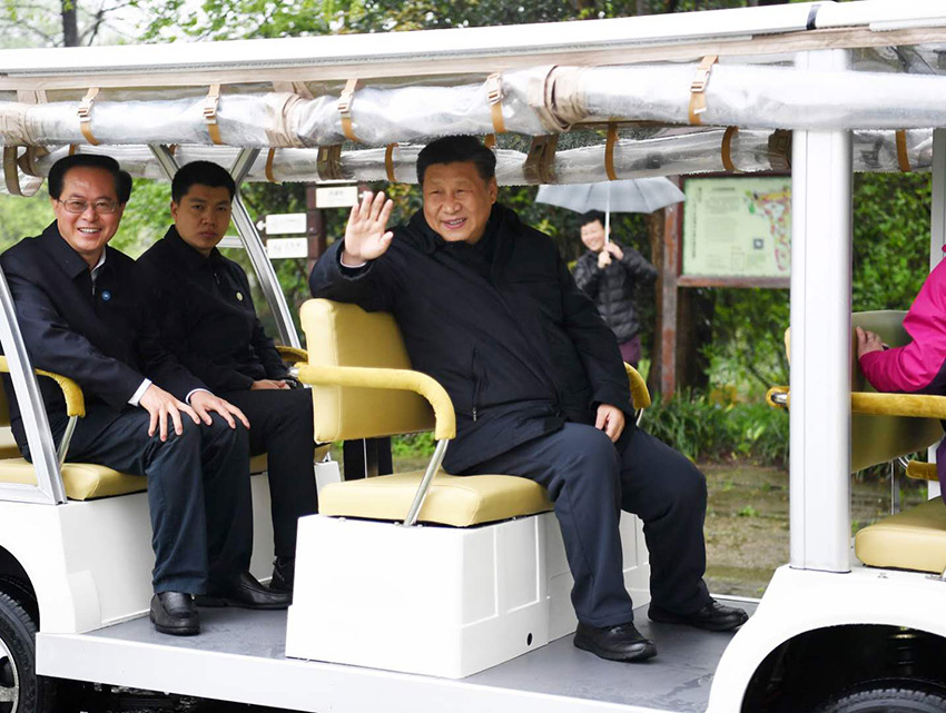3月31日，中共中央總書記、國家主席、中央軍委主席習近平在杭州考察。這是習近平在西溪國家濕地公園就西溪濕地保護利用情況進行考察調研。 新華社記者 燕雁 攝