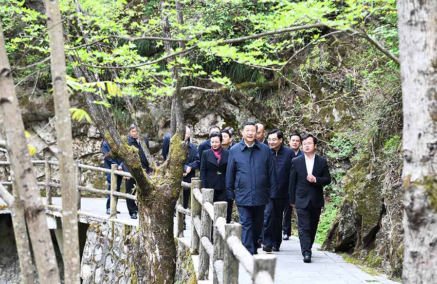 4月20日，中共中央總書記、國家主席、中央軍委主席習近平在陝西考察調研。這是習近平在位於商洛市柞水縣的秦嶺牛背梁國家級自然保護區，考察秦嶺生態保護情況。 新華社記者 謝環馳 攝