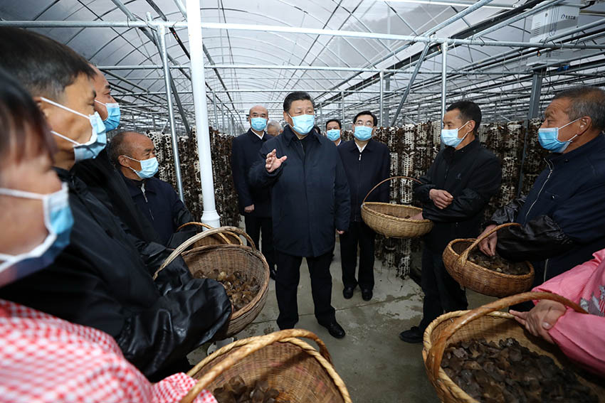 4月20日，中共中央總書記、國家主席、中央軍委主席習近平在陝西考察調研。這是習近平在商洛市柞水縣小嶺鎮金米村了解脫貧攻堅工作情況。 新華社記者 鞠鵬 攝