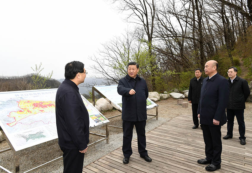 4月20日，中共中央總書記、國家主席、中央軍委主席習(xí)近平在陝西考察調(diào)研。這是習(xí)近平在位於商洛市柞水縣的秦嶺牛背梁國家級自然保護(hù)區(qū)，考察秦嶺生態(tài)保護(hù)情況。 新華社記者 謝環(huán)馳 攝