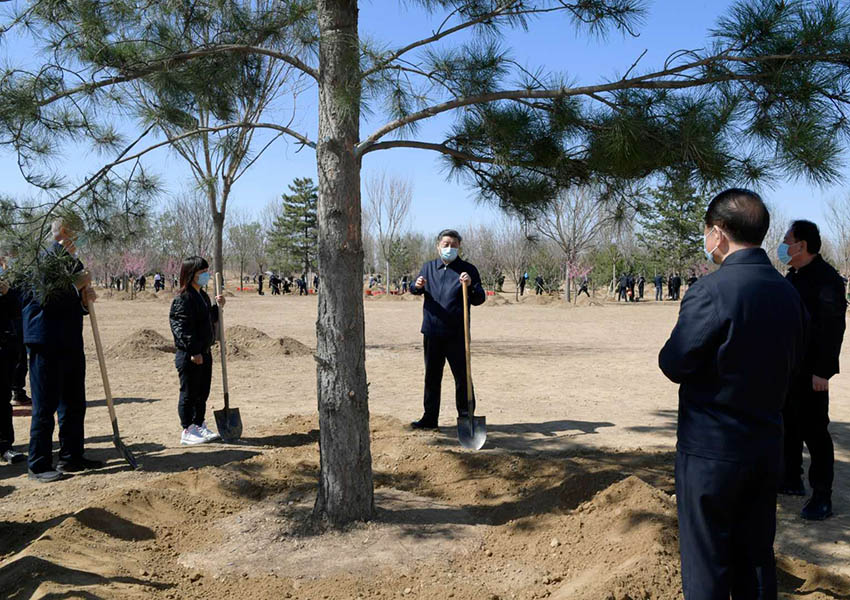 4月3日，黨和國家領導人習近平、李克強、栗戰書、汪洋、王滬寧、趙樂際、韓正、王岐山等來到北京市大興區舊宮鎮參加首都義務植樹活動。這是植樹期間，習近平同在場的干部群眾親切交談。 新華社記者 李學仁 攝