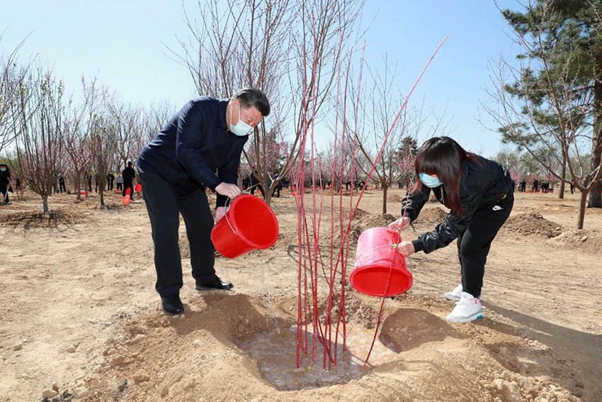 4月3日，黨和國家領(lǐng)導(dǎo)人習(xí)近平、李克強、栗戰(zhàn)書、汪洋、王滬寧、趙樂際、韓正、王岐山等來到北京市大興區(qū)舊宮鎮(zhèn)參加首都義務(wù)植樹活動。這是習(xí)近平提水澆灌樹木。 新華社記者 李學(xué)仁 攝