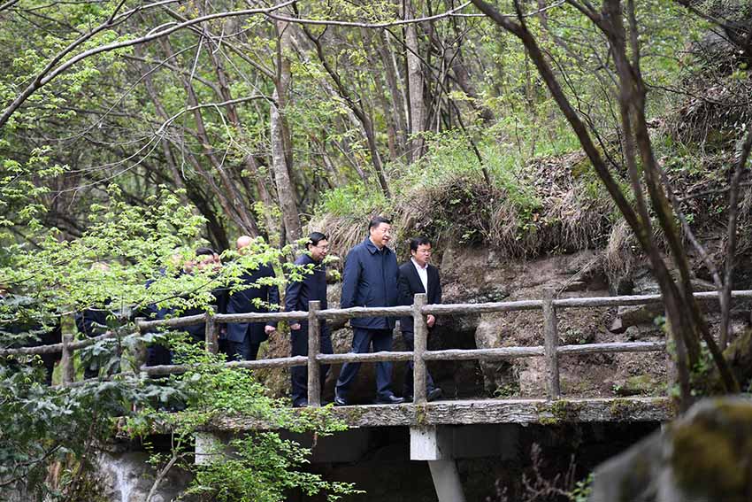 4月20日，中共中央總書記、國家主席、中央軍委主席習近平在陝西考察調研。這是習近平在位於商洛市柞水縣的秦嶺牛背梁國家級自然保護區，考察秦嶺生態保護情況。 新華社記者 翟健嵐 攝