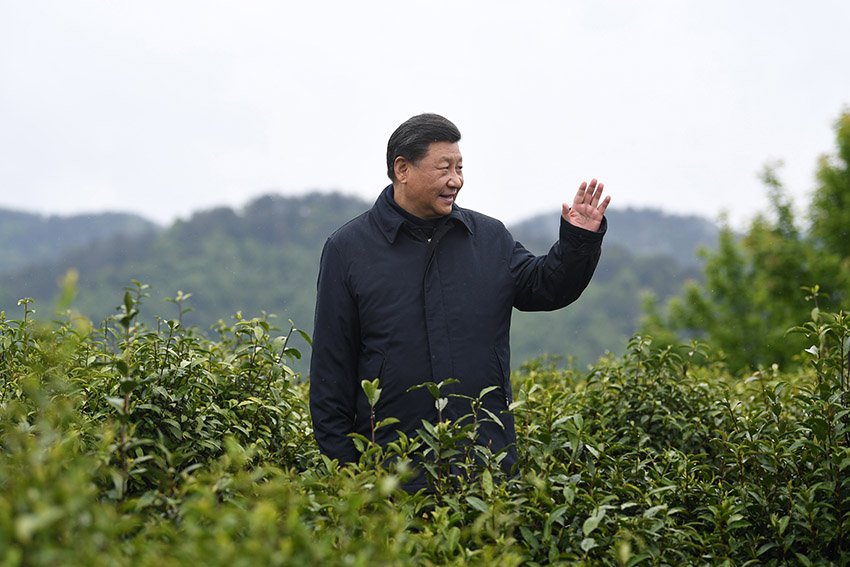 習(xí)近平總書記21日來到陝西省安康市平利縣老縣鎮(zhèn)，在錦屏社區(qū)、鎮(zhèn)衛(wèi)生院、中心小學(xué)和茶園考察當(dāng)?shù)孛撠毠缘惹闆r。（文字記者：張曉鬆 攝影記者：鞠鵬、謝環(huán)馳、燕雁、翟健嵐）