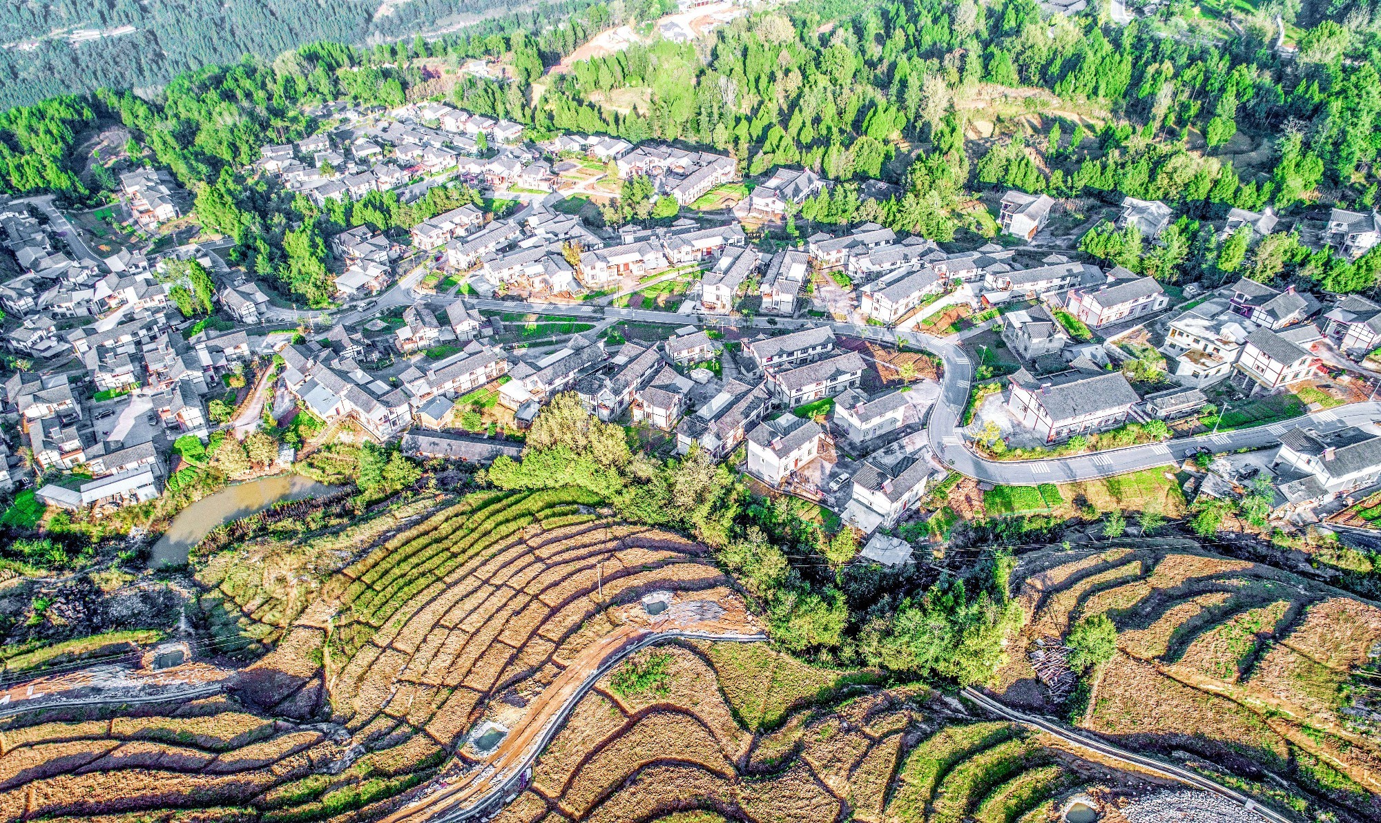 通江縣沙溪鎮王坪村新村聚居點。