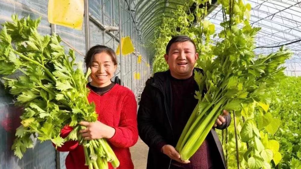 寧夏青銅峽：我家住在黃河邊 村美民富產(chǎn)業(yè)旺