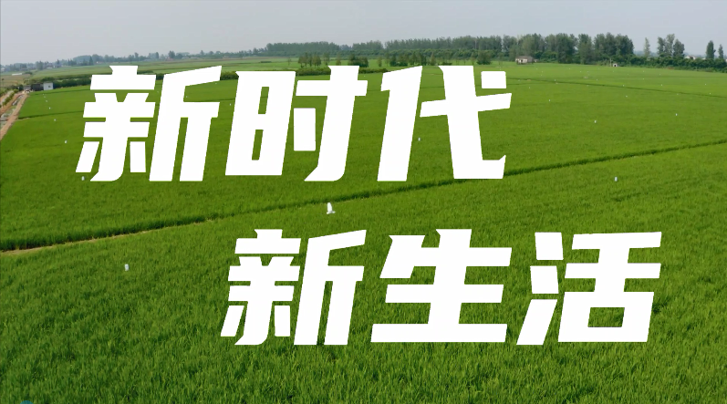 湖北枝江：花樣新生活
