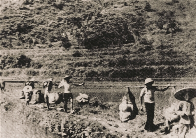 惠寶地區(qū)人民送糧食支援子弟兵。深圳東江縱隊(duì)紀(jì)念館供圖