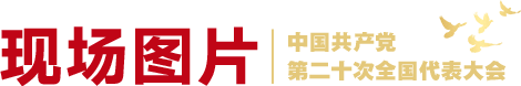 現(xiàn)場(chǎng)圖片欄目條
