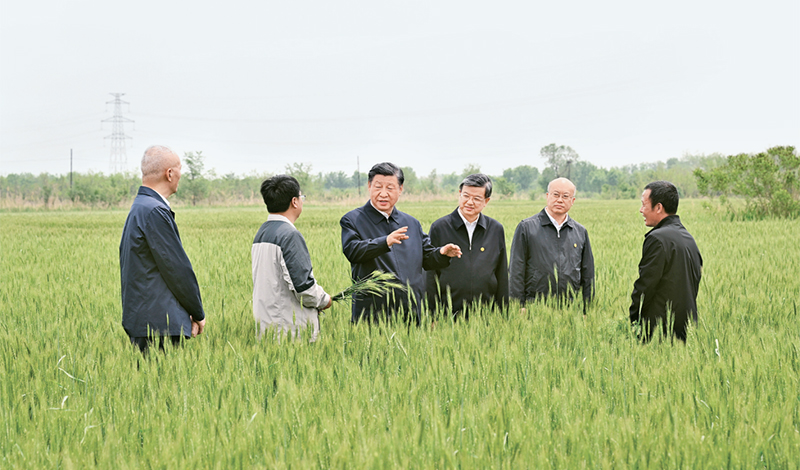 2023年5月11日至12日，中共中央總書記、國家主席、中央軍委主席習(xí)近平在河北考察，並主持召開深入推進(jìn)京津冀協(xié)同發(fā)展座談會。這是11日上午，習(xí)近平在滄州市黃驊市舊城鎮(zhèn)仙莊片區(qū)旱鹼地麥田考察時，同種植戶、農(nóng)技專家親切交流。 新華社記者 李學(xué)仁/攝